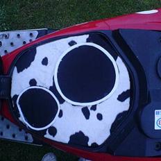 Peugeot Speedfight 2 WRC 206