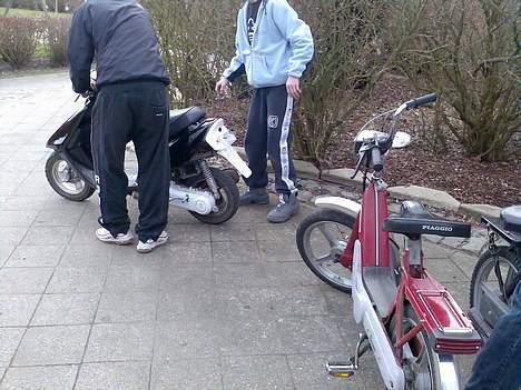 Piaggio ciao (solgt) billede 9