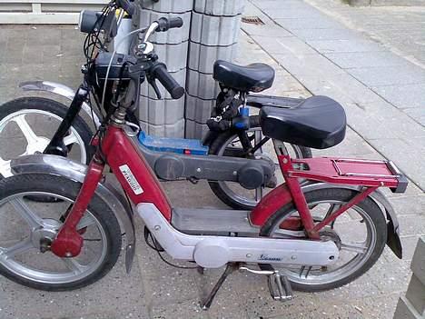 Piaggio ciao (solgt) billede 10