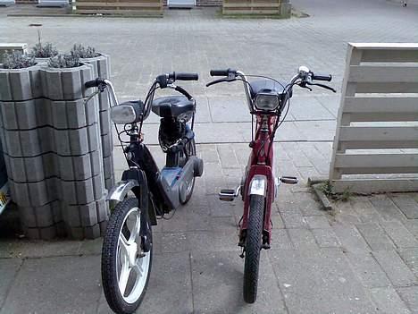 Piaggio ciao (solgt) billede 12