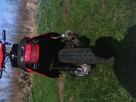 PGO hot 50 solgt billede 10