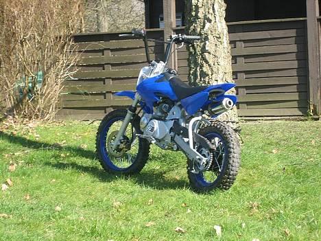 MiniBike pitbike 125 ccm billede 1