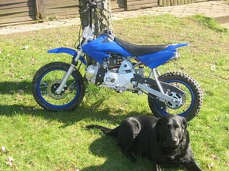 MiniBike pitbike 125 ccm billede 5