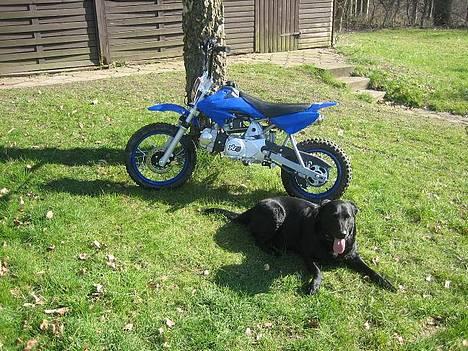 MiniBike pitbike 125 ccm billede 7