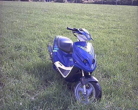 PGO TORNADO (SOLGT) billede 5