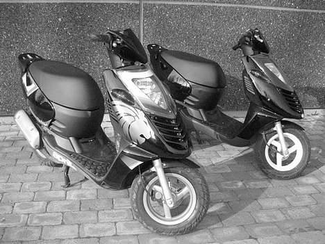 Aprilia sonic billede 10