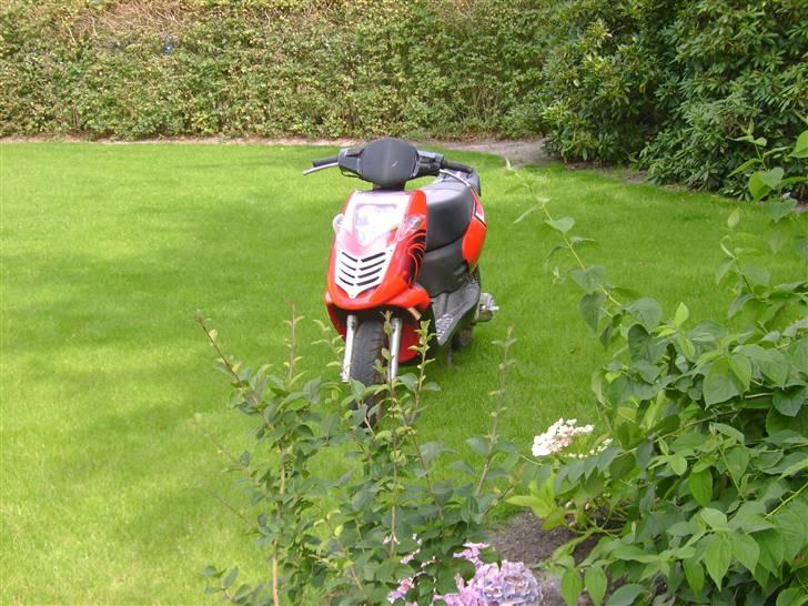 Aprilia Sonic - SOLGT! billede 1