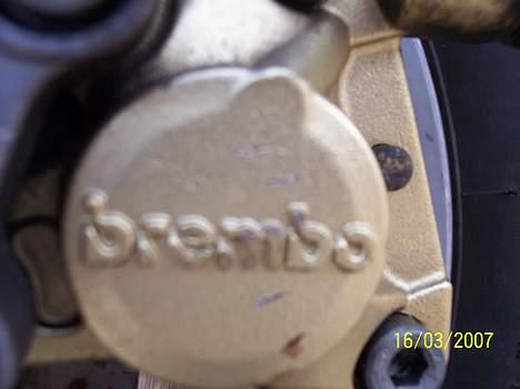 Piaggio Typhoon (SOLGT) billede 9