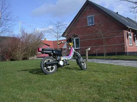 Suzuki fz50 . billede 10
