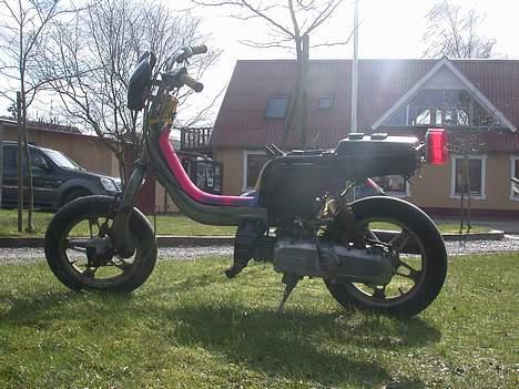 Suzuki fz50 . billede 12