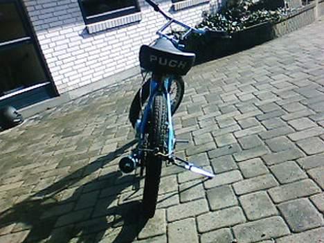 Puch Hajne's Maxi # BYTTET# billede 4