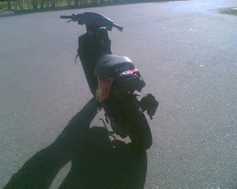 PGO projekt skrottet billede 6