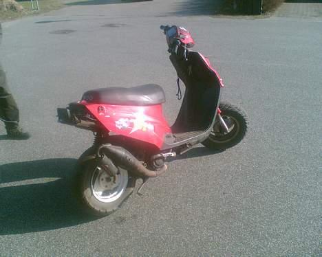 PGO projekt skrottet billede 8