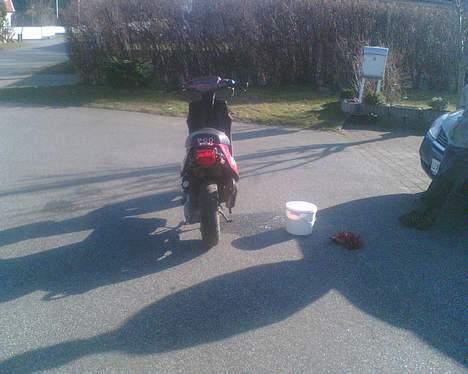 PGO projekt skrottet billede 12