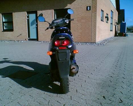 Honda sfx - gammelt billede 3