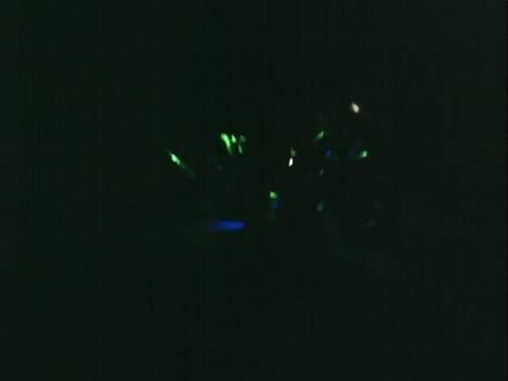 MiniBike Daytona AC dd solgt billede 18