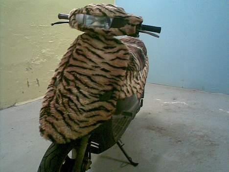 PGO comet billede 10