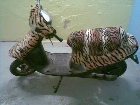 PGO comet billede 13