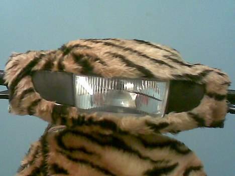 PGO comet billede 15