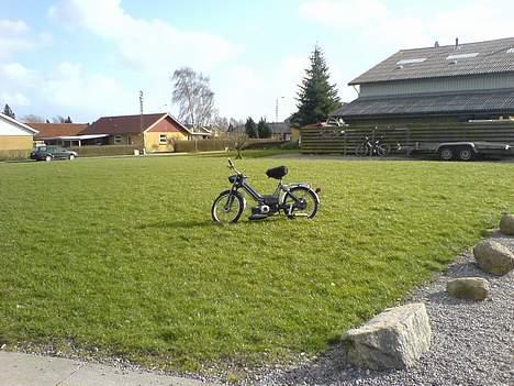 Puch maxi k solgt billede 15