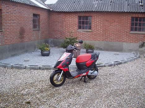 Aprilia Sonic billede 13