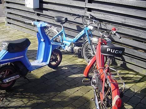 Puch Maxi K [SOLGT] - Morten H´s og Frederik F´s knallerter ved siden af :D billede 6