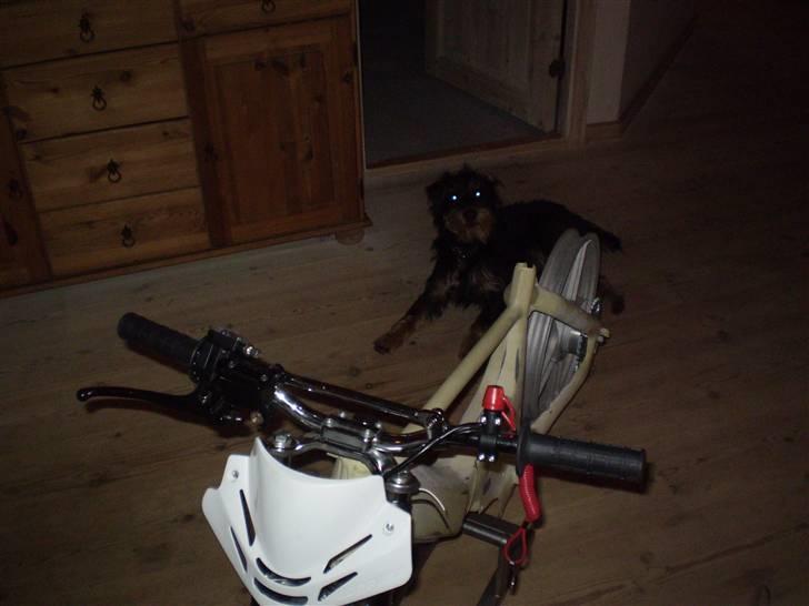 Puch Maxi K //Mona Lisa\\ 74cc FØR billede 10