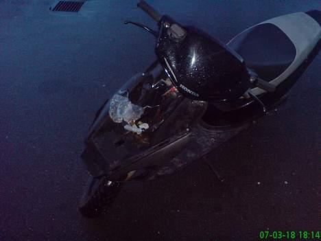 Honda Sfx     SOLGT - mit manglende frontskjold billede 3