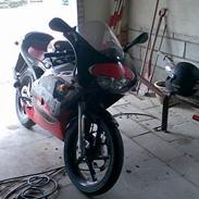 Aprilia RS REP