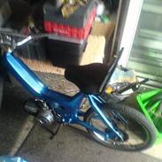 Puch maxi     (SOLGT)