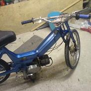 Puch maxi     (SOLGT)