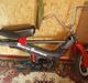 Vespa grillo (til salg)