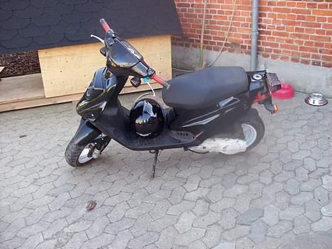 PGO Hot 50 billede 4