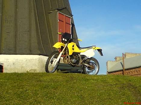 Suzuki RMX (SOLGT)   billede 14