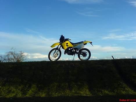 Suzuki RMX (SOLGT)   billede 15