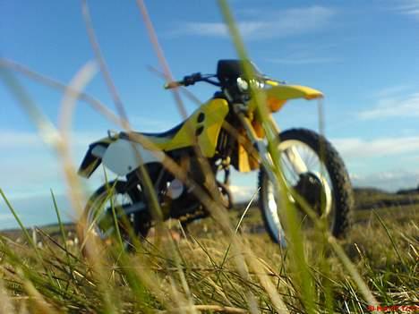Suzuki RMX (SOLGT)   billede 17