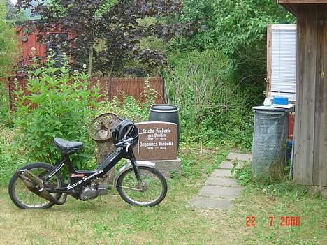 Puch maxi K Slogt billede 13