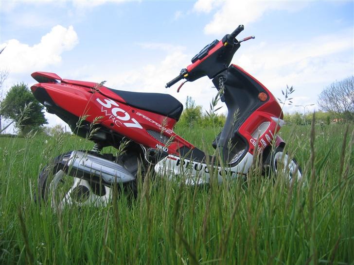 Peugeot speedfight 2 wrc 307 billede 2