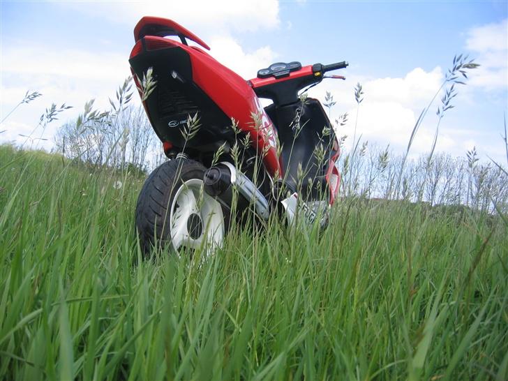 Peugeot speedfight 2 wrc 307 billede 3