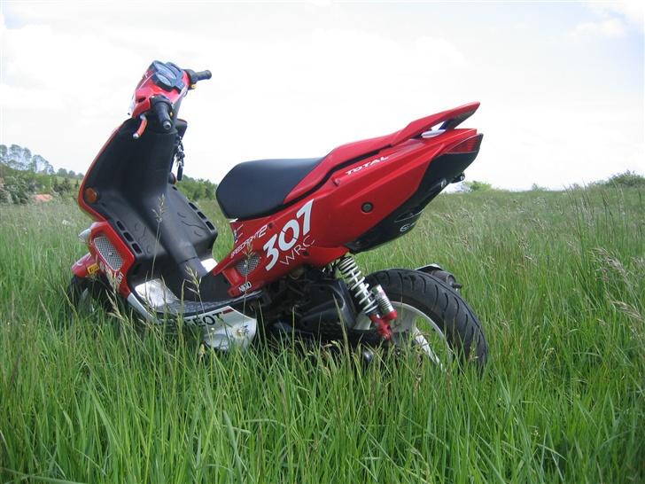 Peugeot speedfight 2 wrc 307 billede 4