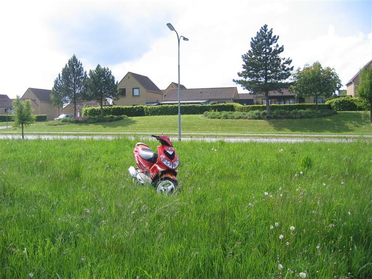 Peugeot speedfight 2 wrc 307 billede 5