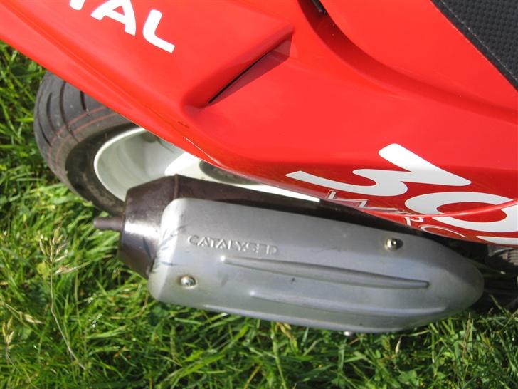 Peugeot speedfight 2 wrc 307 billede 8