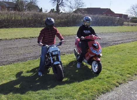 Peugeot speedfight 2 wrc 307 billede 9