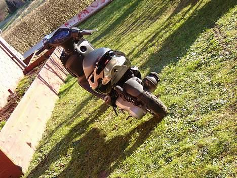 Aprilia sonic billede 2