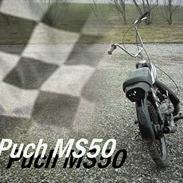 Puch MS50 (Ny billeder)