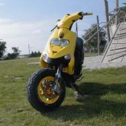 Gilera Stalker ~ MTM