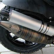 Benelli 491 Til Salg