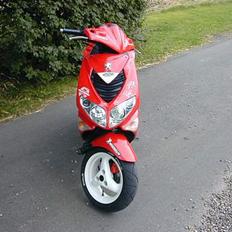 Peugeot Speedfight 206 TIL SALG