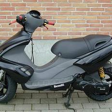 Benelli 491 Til Salg