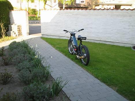 Puch Maxi  Solgt billede 1